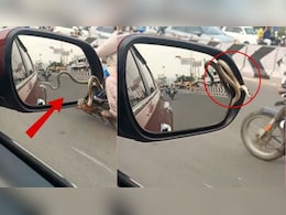 चलती कार के साइड मिरर से अचानक निकल आया सांप, देख लोगों की निकल गईं चीखें