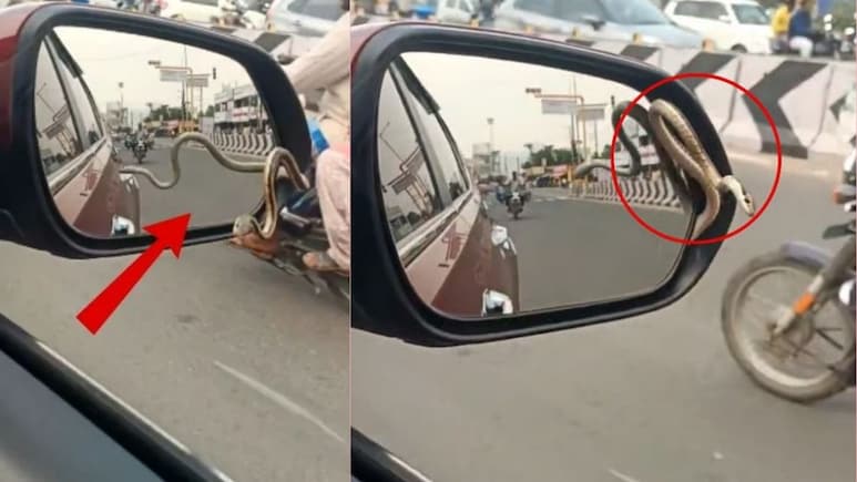 चलती कार के साइड मिरर से अचानक निकल आया सांप, देख लोगों की निकल गईं चीखें