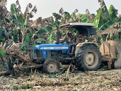 &quot;No One Came To Buy&quot;: Madhya Pradesh Banana Farmers Forced To Destroy Crop