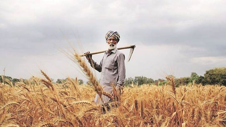 देश में मॉनसून रेनफॉल की कमी बढ़कर 14% हुई, खरीफ फसलों की बुआई पर पड़ रहा सबसे ज्&zwj;यादा असर
