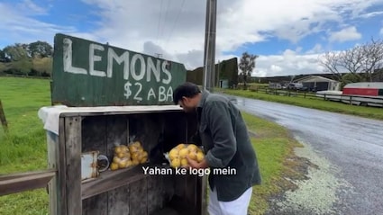 No Vendor, No Camera, Just Trust: New Zealand's Lemon Stall Goes Viral