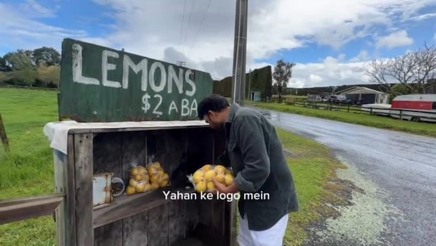 No Vendor, No Camera, Just Trust: New Zealands Lemon Stall Wins Hearts Online