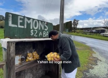 No Vendor, No Camera, Just Trust: New Zealands Lemon Stall Wins Hearts Online