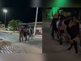 Viral Video: जब लड़खड़ाए मालिक के पैर तब बैल ने थाम ली कमान, वीडियो देख दंग रह गए लोग