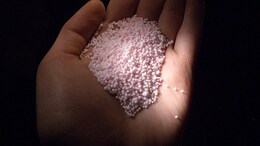 J&K Doctor With Ammonium Nitrate Arrested Near Delhi: How Dangerous Is It?