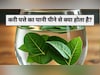 15 दिन तक रोजाना खाली पेट पी लें इस हरे पत्ते का पानी, फिर देखें कमाल