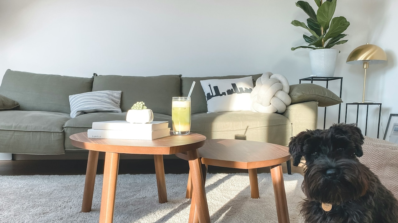 Upgrade your furnishings with these amazing deals on carpets from Amazon