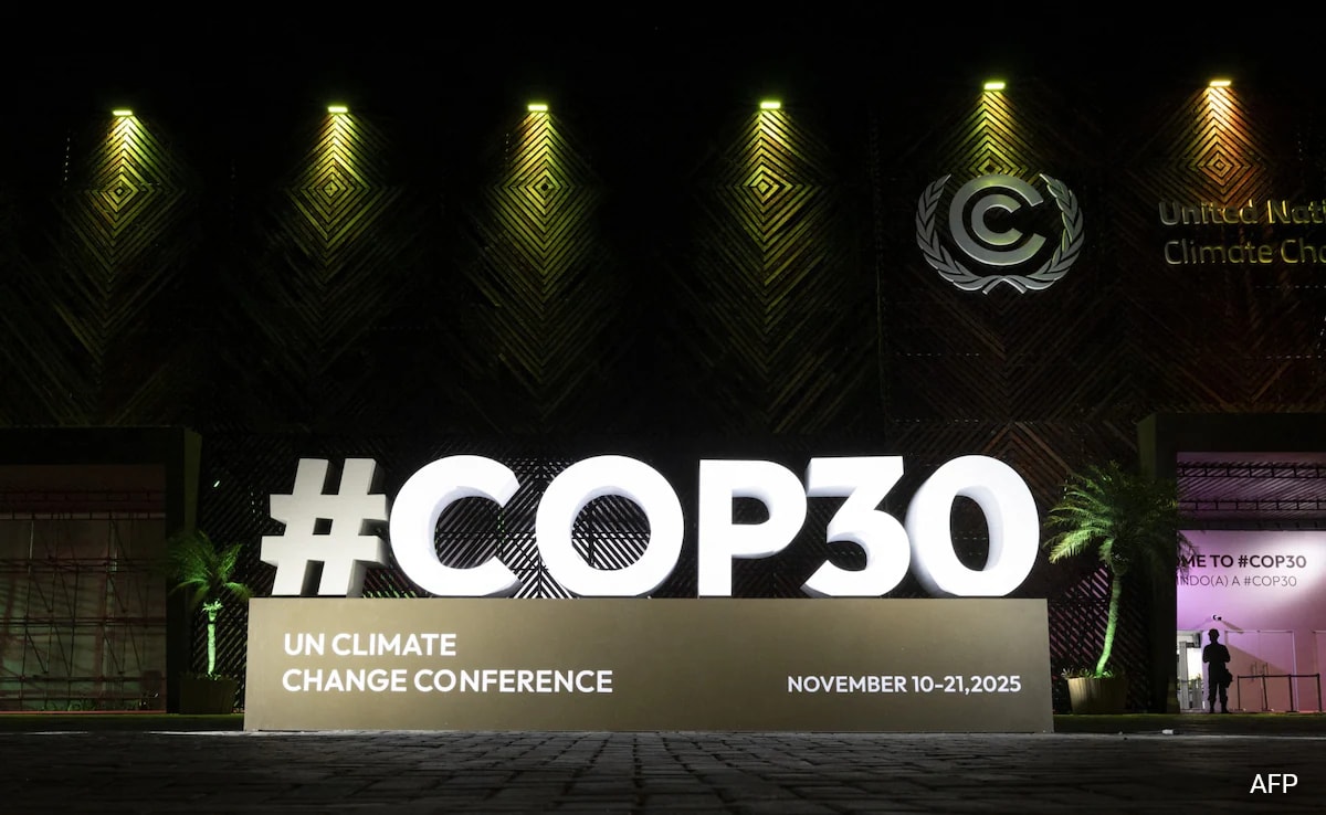 COP30 climate summit global forest fund
