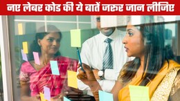 New Labour Codes: सैलरी घटेगी या बढ़ेगा PF, ग्रेच्युटी-ओवरटाइम के पैसे कब मिलेंगे?10 सवाल-जवाब में दूर करें सारा कन्&zwj;फ्यूजन