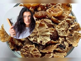 बाल झड़ने की समस्या से छुटकारा दिला सकता है कपूर कचरी, बस ऐसे करें बालों में अप्लाई