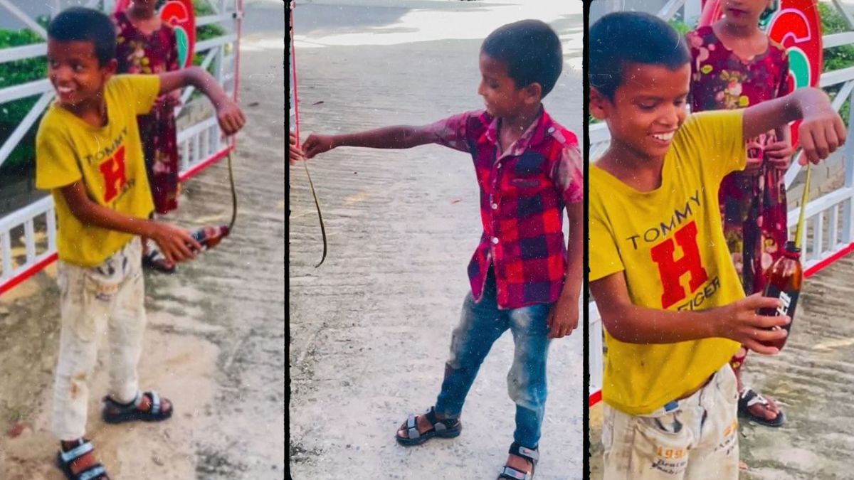 बड़े खतरनाक लोग हैं यार…खिलौने की तरह सांप से खेलते दिखे बच्चे, पूंछ पकड़कर बोतल में किया बंद