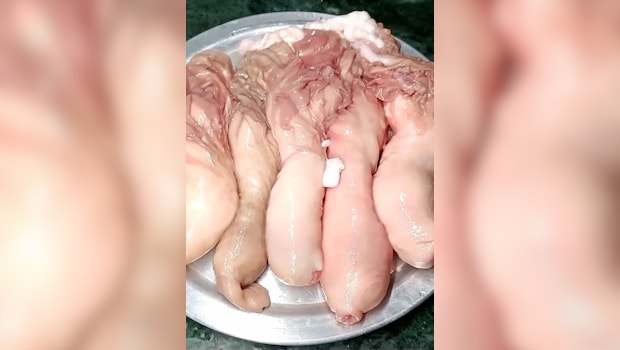 Latest and Breaking News on NDTV Latest and Breaking News on NDTV