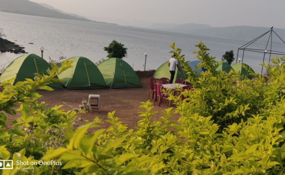 Latest and Breaking News on NDTV Latest and Breaking News on NDTV