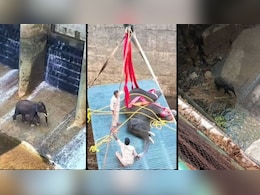 60 फीट गहरी नहर में गिरा हाथी,'गजराज' का दिल दहला देने वाला रेस्क्यू वायरल,देख लोग बोले-फिल्मी सीन से कम नहीं