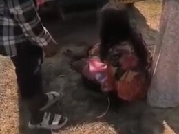 छत्तीसगढ़ में महिला ने कांवर में ही दिया बच्चे को जन्म, गांव में सड़क न होने की वजह से नहीं पहुंची गाड़ी