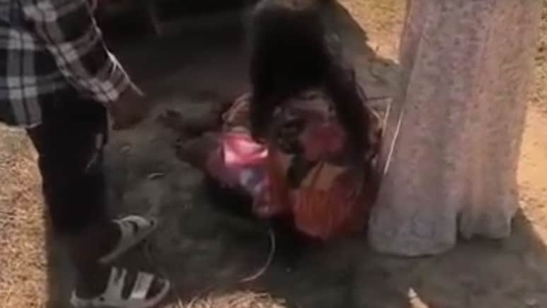 छत्तीसगढ़ में महिला ने कांवर में ही दिया बच्चे को जन्म, गांव में सड़क न होने की वजह से नहीं पहुंची गाड़ी