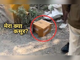 इंदौर में नाले के पास मिला नवजात का शव! आधा शरीर जानवरों ने खाया, पुलिस जांच में जुटी