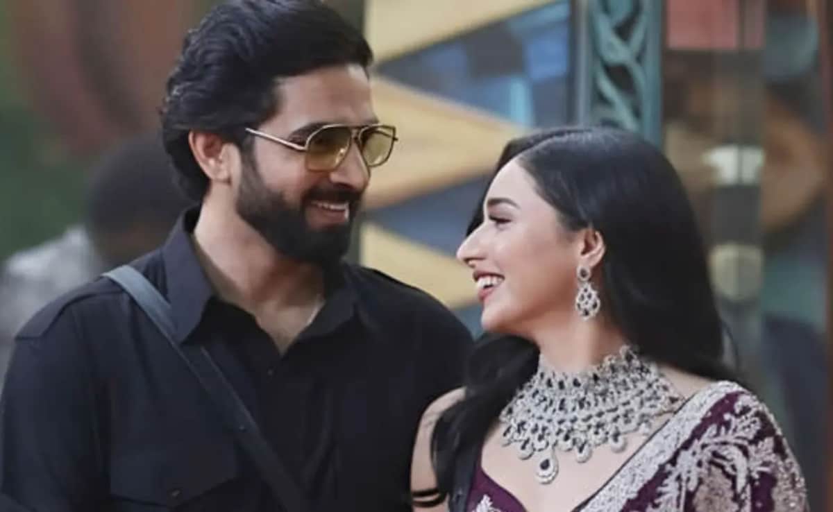 Amaal Mallik To Tanya Mittal, How Bigg Boss 19's Top 9 Contestants Made A Mark On Salman Khan's Shows Show