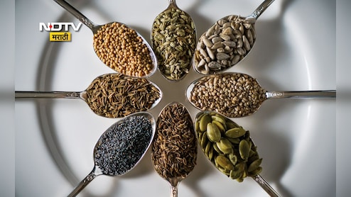 तीळ, भोपळ्याच्या बिया, अळशी... कोणत्या बिया कोणत्या वेळेस खाव्या? न्युट्रिशनिस्टने सांगितलं कधी मिळतील सर्वाधिक फायदे