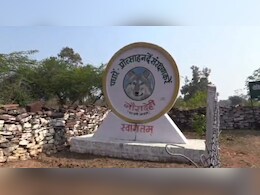 नौरादेही टाइगर रिजर्व में छोड़े गए 153 काले हिरण, मिला अपना पुराना आवास, वन विभाग ने बढ़ाई सुरक्षा