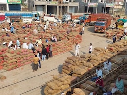 Rajasthan: कोटपूतली की लाल गाजर का धमाल, मंडी में हर रोज1 करोड़ का कारोबार, जम्मू-कश्मीर से बंगाल तक है भारी डिमांड