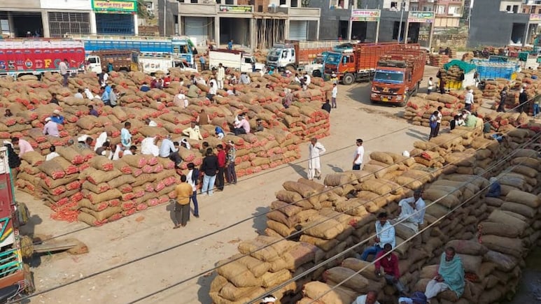 Rajasthan: कोटपूतली की लाल गाजर का धमाल, मंडी में हर रोज1 करोड़ का कारोबार, जम्मू-कश्मीर से बंगाल तक है भारी डिमांड