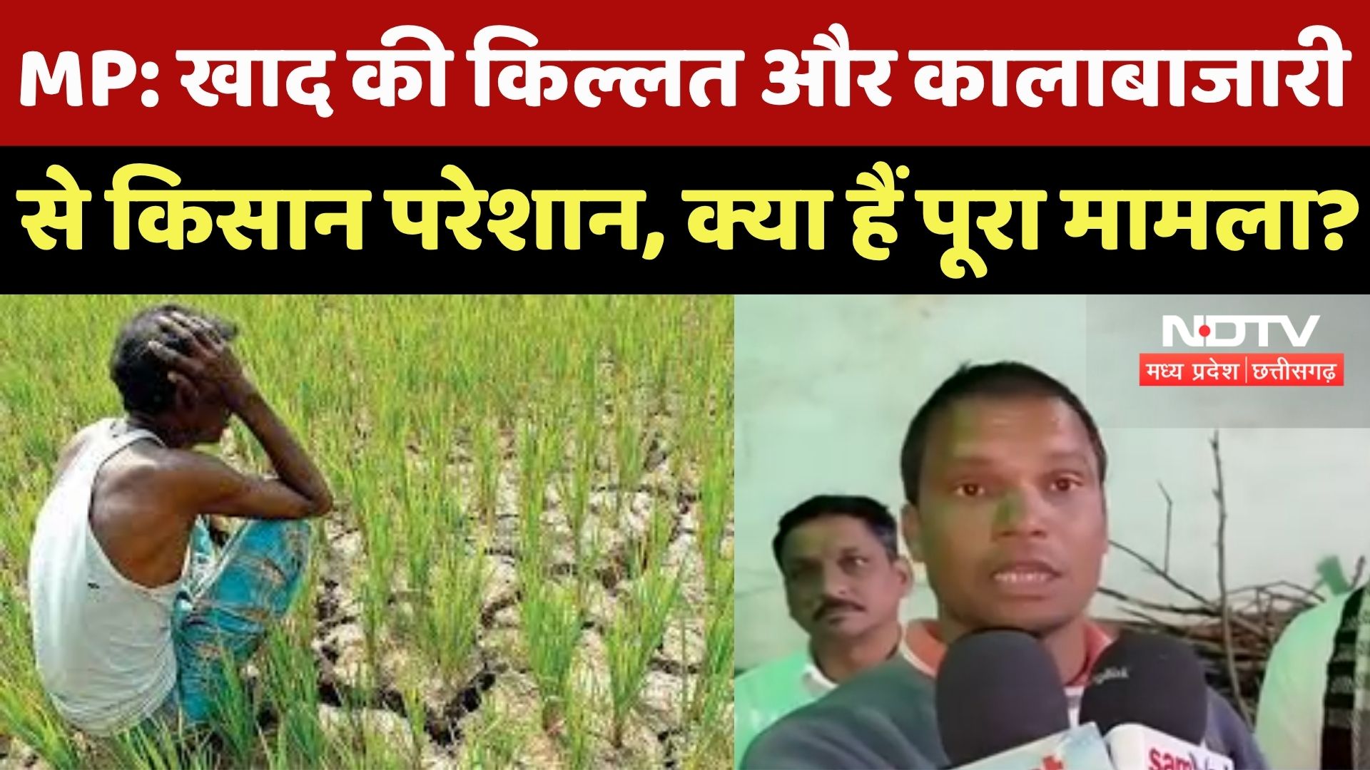 MP में Fertilizer की किल्लत और कालाबाजारी से Farmers में आक्रोश!
