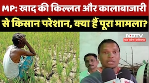 MP में Fertilizer की किल्लत और कालाबाजारी से Farmers में आक्रोश!