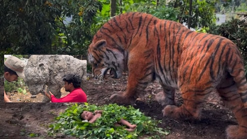 Kantara Tiger : कल्पकतेला सलाम! कचऱ्यापासून बनवलाय कांतारामधला खुँखार वाघ, 2 कोटी लोकांनी पाहिला 'हा' VIDEO