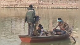 भरतपुर: सुजान गंगा नहर का दूषित पानी मछलियों के लिए बना जानलेवा, हर साल कई क्विंटल मछलियों की मौत