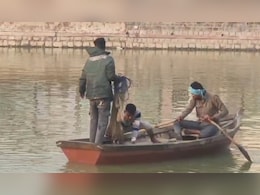 भरतपुर: सुजान गंगा नहर का दूषित पानी मछलियों के लिए बना जानलेवा, हर साल कई क्विंटल मछलियों की मौत