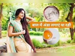 घरेलू नुस्खा : काले, घने और लंबे बाल के लिए बाल में दही लगाएं या अंडा? जानिए यहां सही रेमेडी