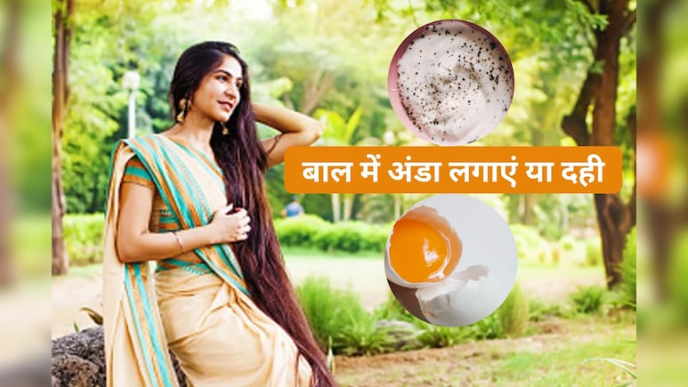 घरेलू नुस्खा : काले, घने और लंबे बाल के लिए बाल में दही लगाएं या अंडा? जानिए यहां सही रेमेडी