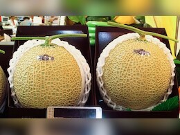 Luxury Car की कीमत में आता है दुनिया का ये सबसे महंगा फल, लोग कहते हैं- खरबूजों की दुनिया का iPhone