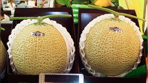 Luxury Car की कीमत में आता है दुनिया का ये सबसे महंगा फल, लोग कहते हैं- खरबूजों की दुनिया का iPhone