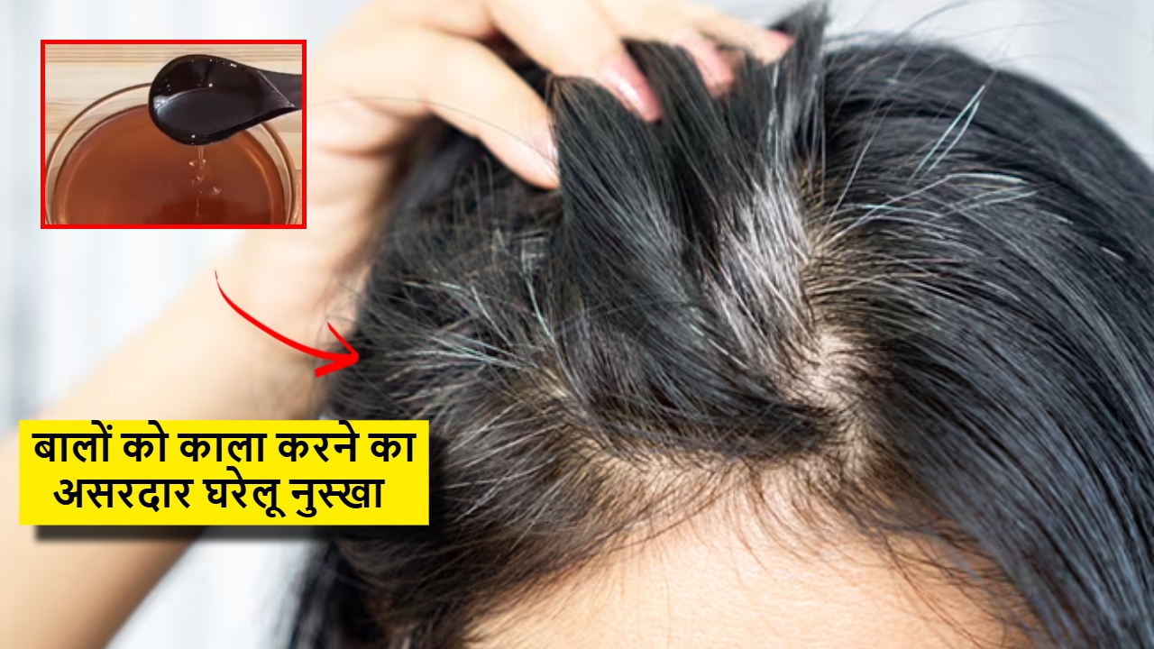 तिल के तेल के साथ मिला लें फ्रिज में रखी ये चीज, काले होने लगेंगे सफेद बाल, डॉक्टर ने बताया कमाल का घरेलू नुस्खा