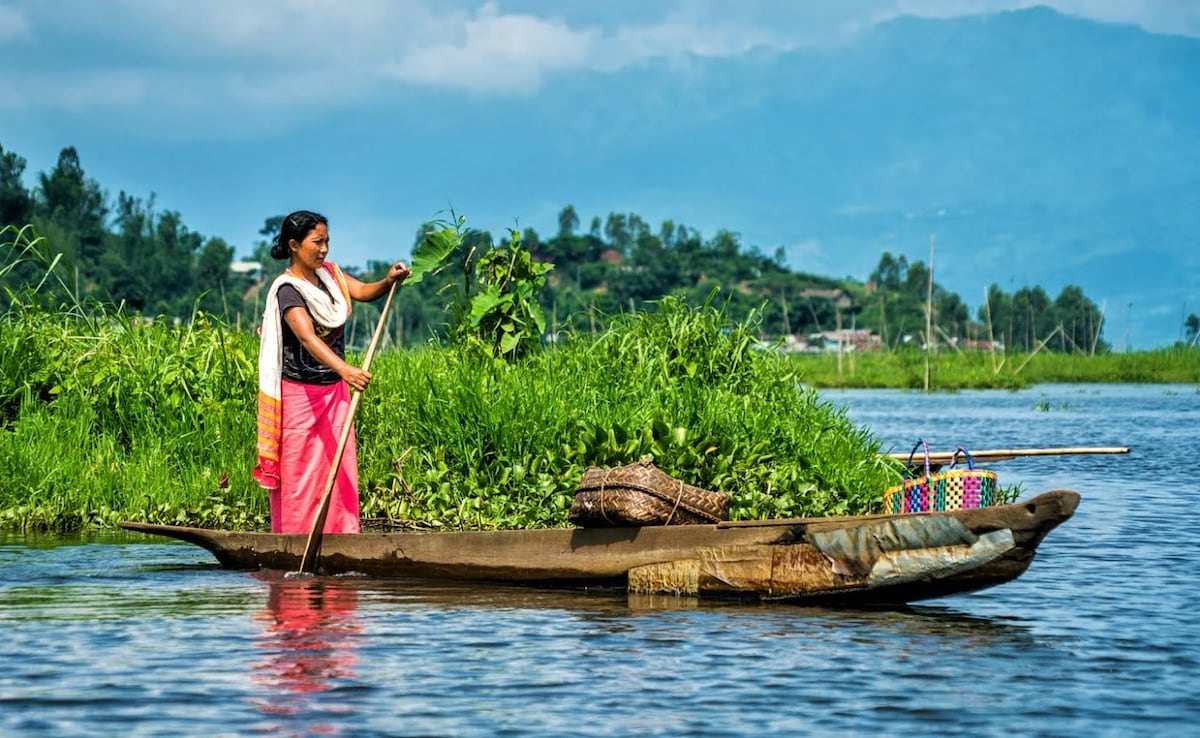 Latest and Breaking News on NDTV Latest and Breaking News on NDTV