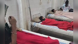 एक साथ बीमार हुए 14 बच्चे! रतनजोत के बीज खाने से बिगड़ी हालत, 10 को किया रेफर&nbsp;