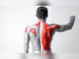 घंटों कंप्यूटर पर काम करने से 'जाम' हो रहे हैं आपके कंधे ? जान लें इसके कारण और घरेलू इलाज