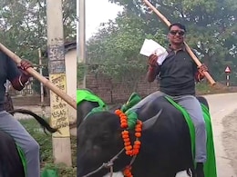 'गाड़ी-घोड़ा बंद, तो भैंस ज़िंदाबाद!' जब देसी' सवारी पर वोट डालने पहुंचे लालू के करीबी, देखें VIDEO