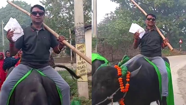 'गाड़ी-घोड़ा बंद, तो भैंस ज़िंदाबाद!' जब देसी' सवारी पर वोट डालने पहुंचे लालू के करीबी, देखें VIDEO