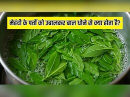 मेहंदी के पत्तों को उबालकर बाल धोने से क्या होता है? न्यूट्रिशनिस्ट ने बताए मेहंदी के पत्तों के फायदे