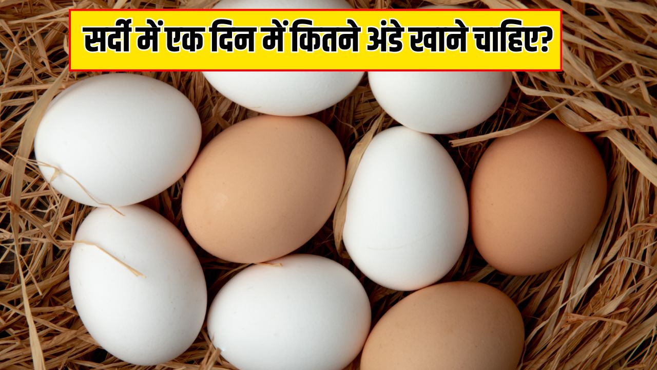 सर्दियों में रोज अंडे खाने से क्या होता है? डॉक्टर से जानें सर्दी में एक दिन में कितने अंडे खाने चाहिए
