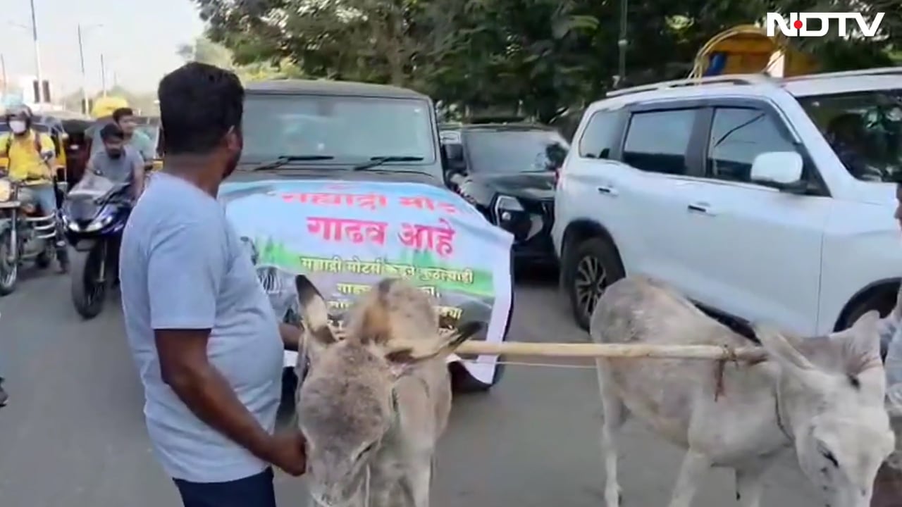 Fed Up With Thar Breaking Down, Pune Man Gets Donkeys To Pull It To Showroom