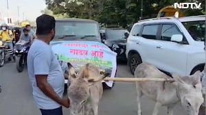Fed Up With Thar Breaking Down, Pune Man Gets Donkeys To Pull It To Showroom