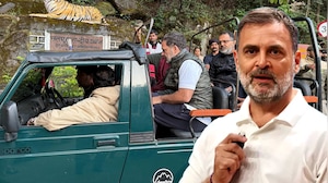BJP Calls Rahul Gandhi's Safari A 'Picnic' As Bihar Votes