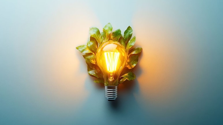 Mumbai Climate Week 2026: हरीत उर्जा आणि भविष्याचा वेध, विशेष पर्यावरण सप्ताहाचे मुंबईत होणार आयोजन