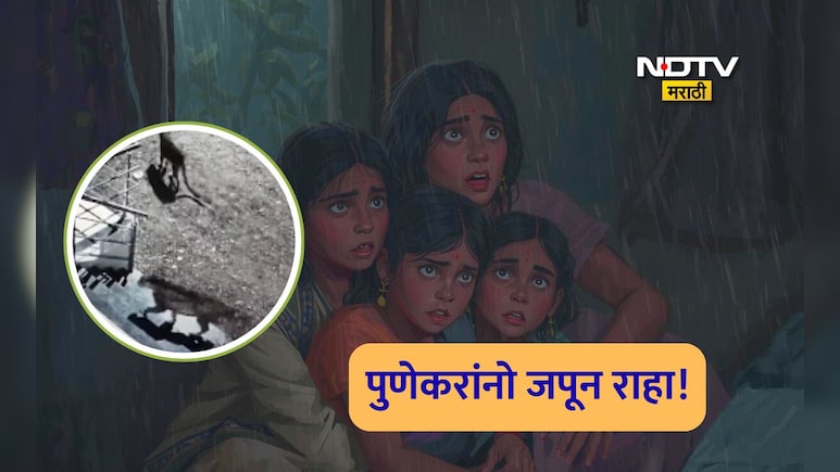 Pune News: पुणेकरांच्या भीतीत वाढ, आता पुणे एअरपोर्ट परिसरात शिरकाव! कडेकोट सुरक्षेसह स्थानिकांसाठी अलर्ट जारी