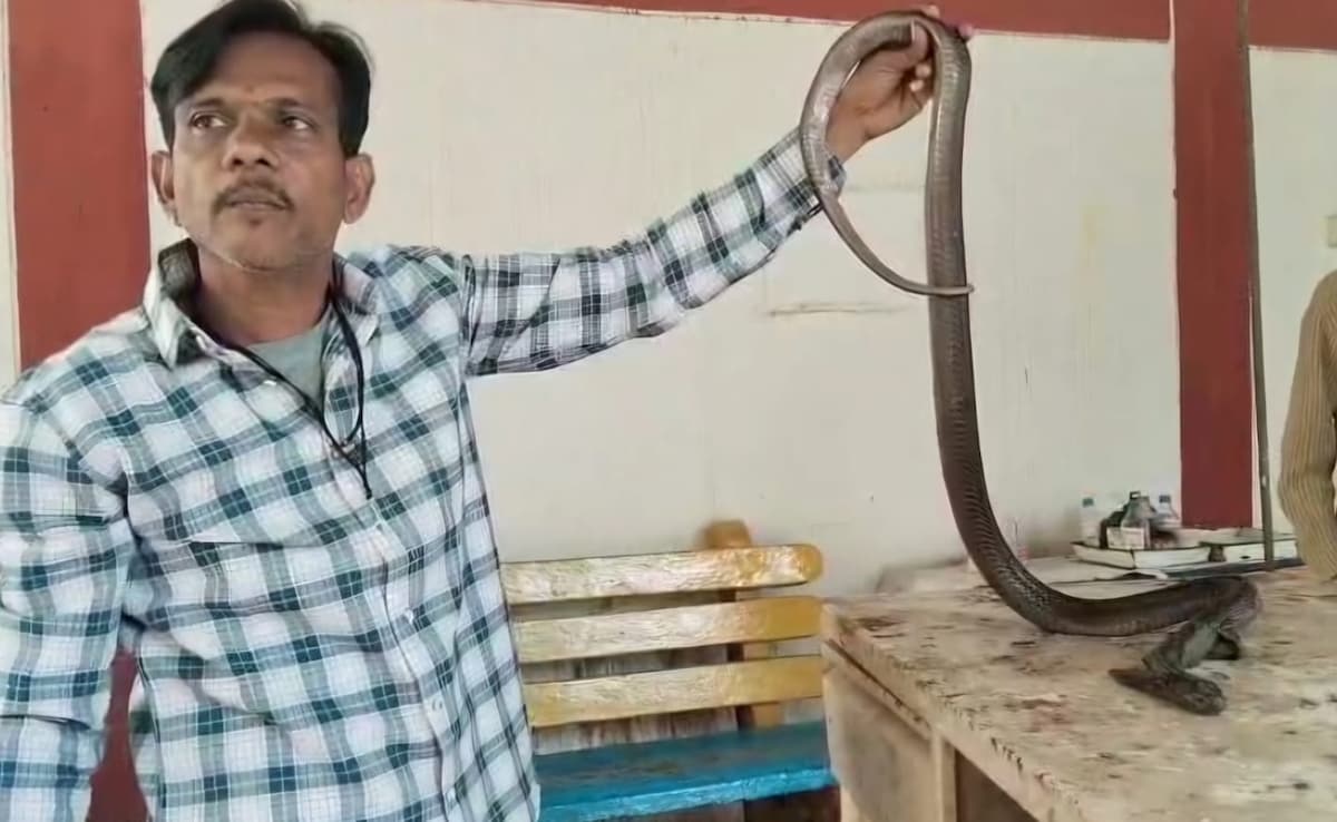 Access Denied Access Denied