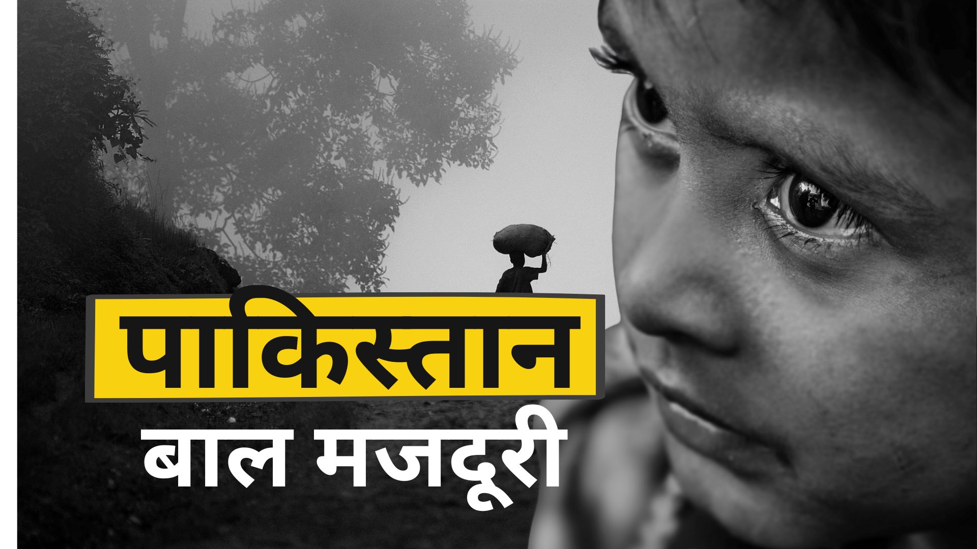 पाकिस्तान में मजदूरी करने को मजबूर हैं मासूम, अकेले सिंध में बालश्रम में लगे 16 लाख से अधिक बच्चे